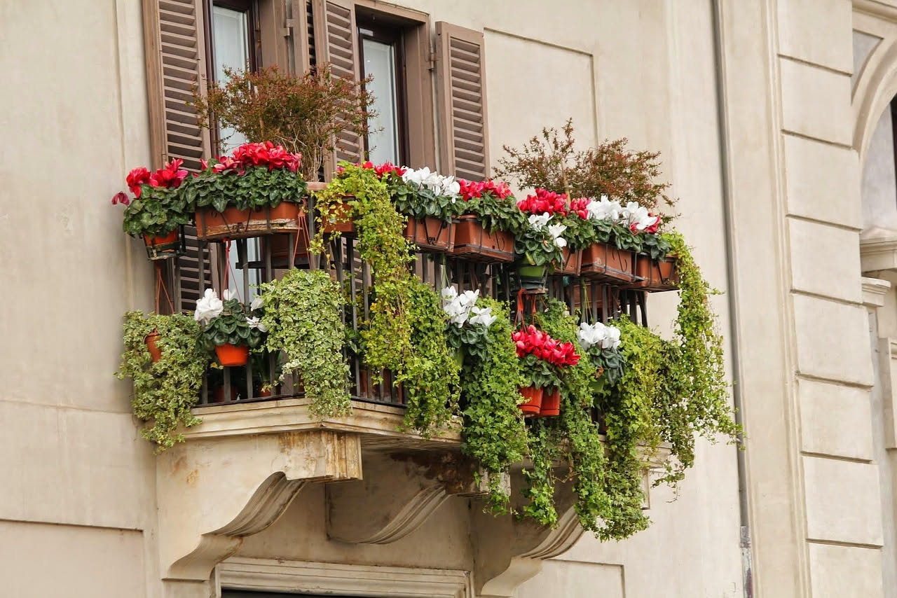 Guida definitiva piante da balcone: tutto per non sbagliare mai