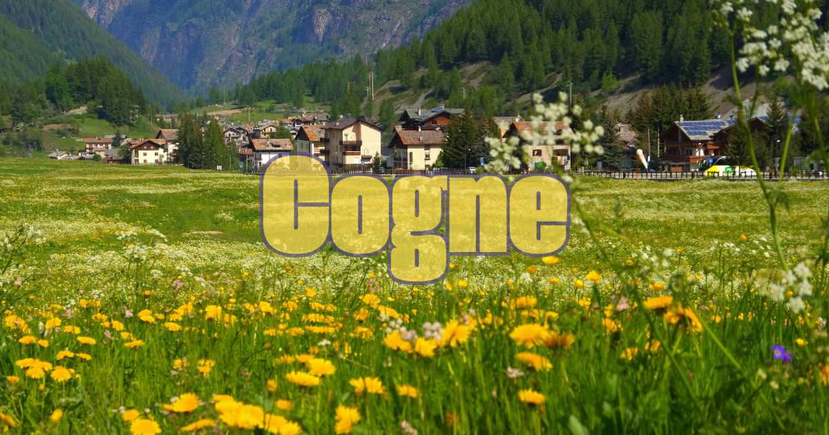 Come il sole di aprile riattiva 10 funzioni del corpo