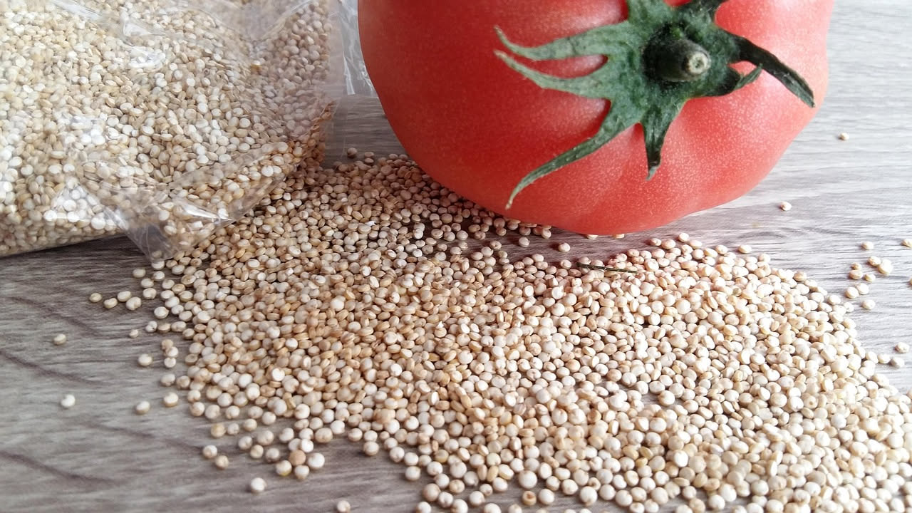 Quinoa: perché proteine complete senza carne? Ecco come cucinarla