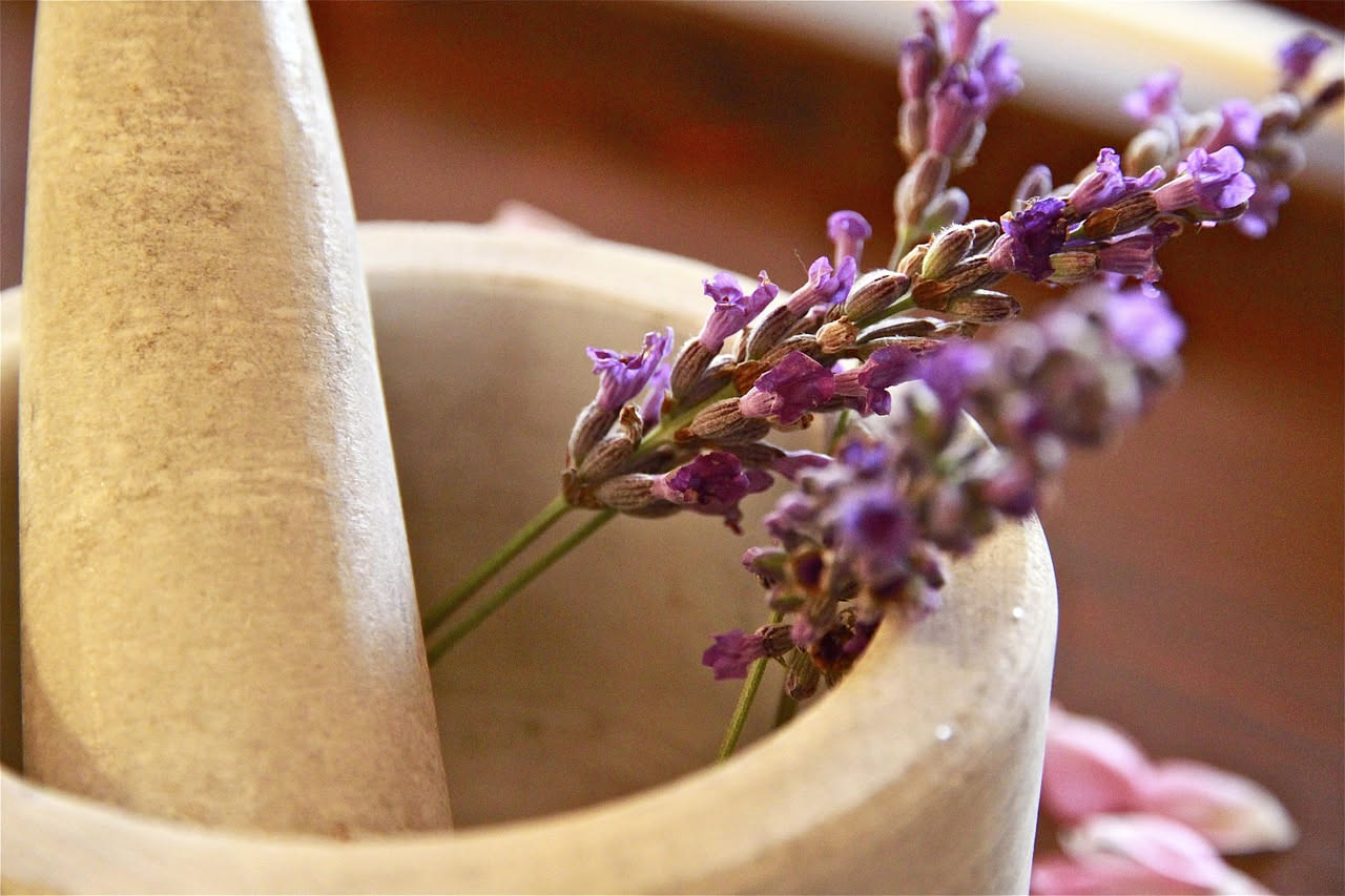 Lavanda officinale: calmante di tradizione o solo aroma piacevole