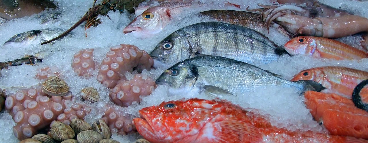 Pesce magro: la scelta più leggera