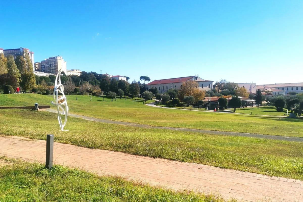 Persona che cammina in un parco con alberi verdi, vista dal basso verso l'alto, postura eretta e rilassata, luce naturale mattutina