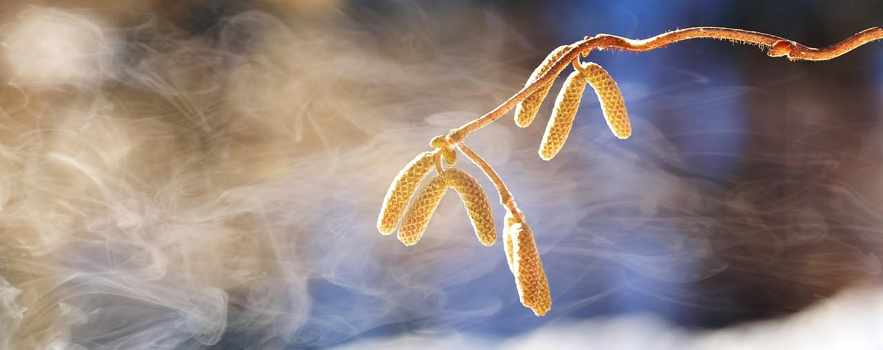 Polmoni a maggio: cosa accade alle vie respiratorie in primavera
