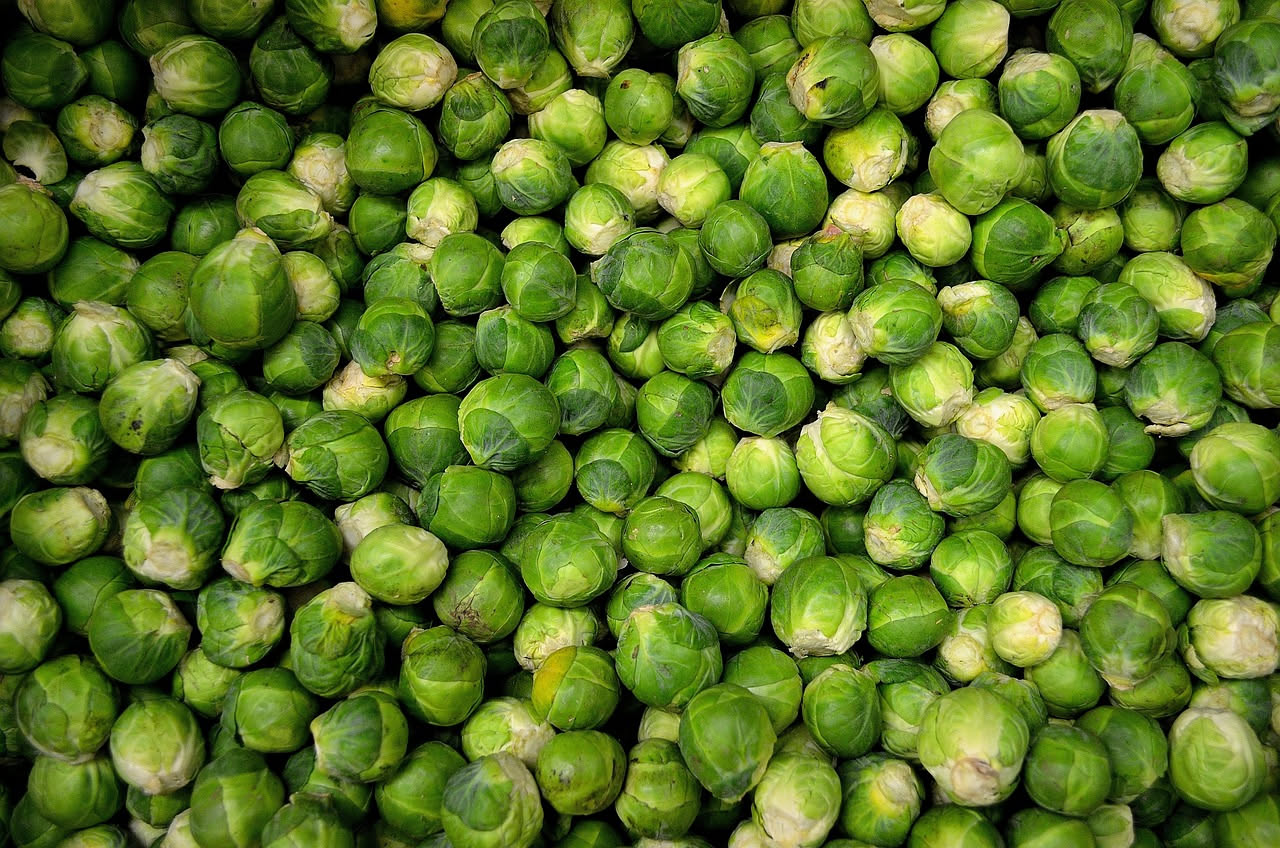 Cavoletti di Bruxelles: proprietà, benefici e come cucinarli