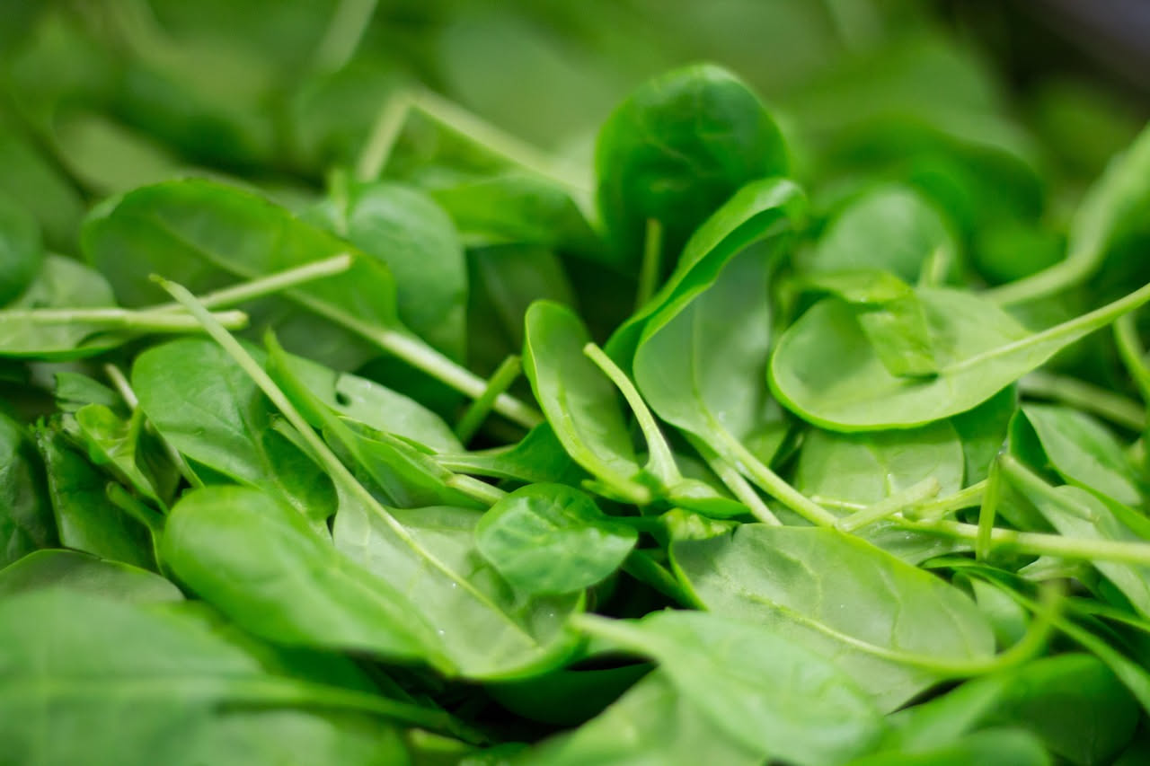 Spinaci: proprietà, benefici e come consumarli quotidianamente