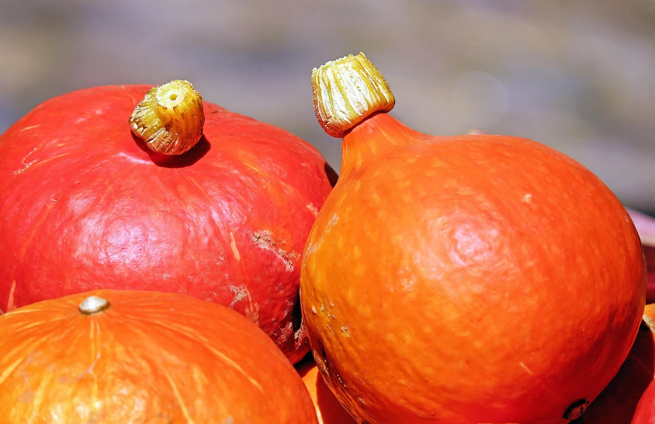 Zucca: proprietà, benefici e come consumarla stagionalmente