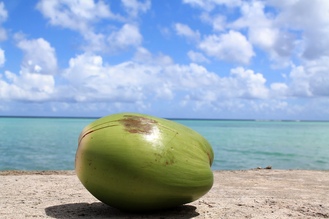Cosa succede a chi beve acqua di cocco d'estate: cosa sapere
